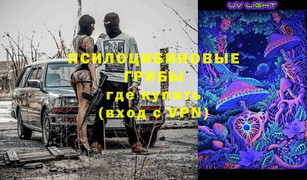 крисы Елабуга
